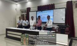 Asymmetric Evolution in Arachnids