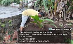 Plantation Drive